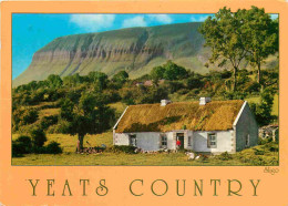 Irlande - Sligo - Yeats County - Thatched Cottage - CPM - Voir Scans Recto-Verso - Sligo