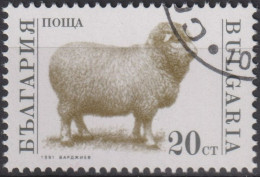 1991 Bulgarien ° Mi:BG 3923A, Sn:BG 3581, Yt:BG 3391, Domestic Sheep (Ovis Ammon Aries),Schaf - Ferme