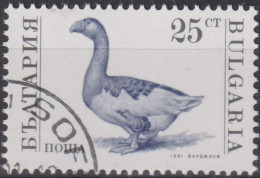 1991 Bulgarien ° Mi:BG 3924A, Sn:BG 3582, Yt:BG 3392, Domestic Goose (Anser Anser Domestica),Gans - Ferme