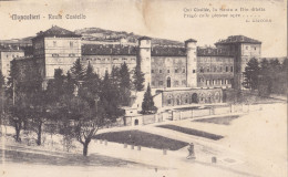 Cartolina Moncalieri ( Torino ) - Reale Castello - Moncalieri