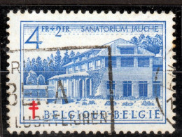 ⁕ Belgium 1950 ⁕ The Fight Against Tuberculosis Mi.881 ⁕ 1v Used - Gebruikt