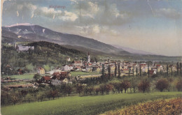 E4876) WOLFSBERG Im Lavanttal - Kärnten - Bäume Häuser Kirche Burg - 1923 - Wolfsberg