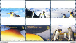 South Georgia. Fauna. Pinguini 2005. - Falkland