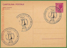 ZA0297 - Italy - Postal History - Stationery Card - Chess - 1970 - Echecs