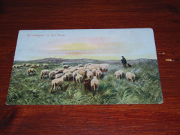 70771-                 THE SHEPHERD, SCHAPEN / SHEEP / SCHAF / MOUTONS - 1919 - Sonstige & Ohne Zuordnung