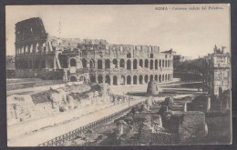 120143/ ROMA, Il Colosseo Veduto Dal Palatino - Kolosseum