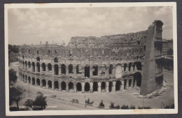 120141/ ROMA, Il Colosseo - Coliseo