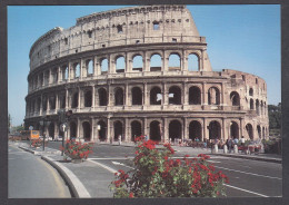 116069/ ROMA, Il Colosseo - Kolosseum