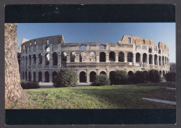 120144/ ROME, Le Colisée - Coliseo