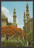 114465/ CAIRO, The Citadel, Sultan Hassan And Al-Rifa'i Mosques - Caïro