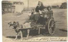 LAITERIE FLAMANDE  HONDENKAR ATTELAGE DE CHIENS 1903 - 1936 D1 - Street Merchants