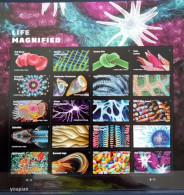 USA 2023, Life Magnified, MNH Sheetlet - Ongebruikt