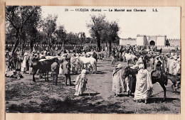 31242 / OUDJDA Maroc Place Le MARCHE Aux CHEVAUX Horses Market 16.06.1929 -LEVY NEURDEIN 26 - Otros & Sin Clasificación