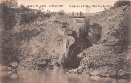 74-LOVAGNY-N°4206-E/0243 - Lovagny