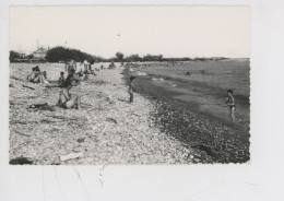 Saint Laurent Du Var : La Plage (cp N°1136 Azur Animée) - Saint-Laurent-du-Var