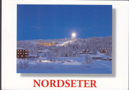 Norway PPC Nordseter BUREAU D'EXCHANGE 2001 KØØPENHAVN Denmark (2 Scans) - Norvège