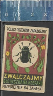 FIGHT THE TURNIP BEETLE - POLSKI PRZEMYSL ZAPALCZANY -  OLD MATCHBOX LABEL POLAND - ISSUED BETWEEN 1951-1954 - Boites D'allumettes - Etiquettes