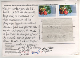 Timbre , Stamp De 2005 " Fruits : Chrysobalanus Icaco " Sur CP, Carte , Postcard Du ?? - St.Lucia (1979-...)