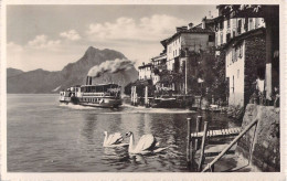 26138 " LAGO DI LUGANO-GANDRIA " -BATTELLO-CIGNI-VERA FOTO-CART.POST. NON SPED. - Gandria 