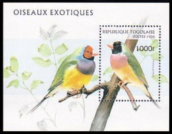 Togo Oiseau Exotique Exotic Bird MNH ** Neuf SC ( A53 537a) - Togo (1960-...)