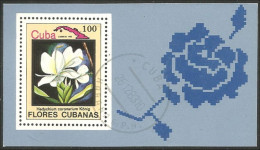 Cuba Hedychium Coronarium White Ginger Gingembre Blanc ( A54 41c) - Geneeskrachtige Planten