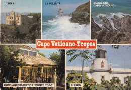 Cartolina  Capo Vaticano - Tropea ( Vibo Valentia ) Vedutine - Vibo Valentia