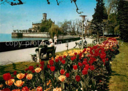 72910983 Langenargen Bodensee Seepromenade Schloss Montfort Tulpenbeet Langenarg - Langenargen