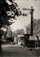 ! DDR Ansichtskarte 1983, Cottbus, Pioniereisenbahn - Cottbus