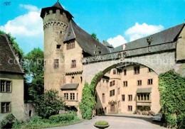 72908246 Steinach Hessen Schloss Fuerstenau Bei Michelstadt Steinach Hessen - Lauterbach