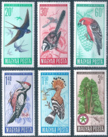 C5643 Hungary Fauna Birds Nature Protection Forest Tree Full Set MNH - Spechten En Klimvogels