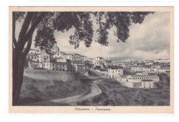 CATANZARO - PANORAMA - VIAGGIATA - Catanzaro