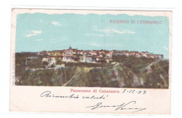 CATANZARO - PANORAMA E RICORDO - VIAGGIATA - Catanzaro