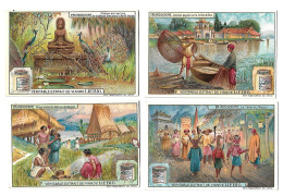 S 904, Liebig 6 Cards,   En Indochine - Liebig