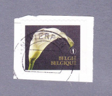 2013 Nr 4368a Gestempeld Op Fragment,zegel Uit Boekje B142.Rouwzegels / Timbres De Deuil. - Usati