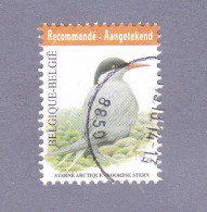 2013 Nr 4306 Gestempeld Op Fragment.Vogel:Noordse Stern / Sterne Arctique. - Usati