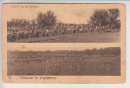 WWI Moravska Divizija - PIONEERS ESTABLISH A POSITION (sr2140) SRPSKA VOJSKA - Serbie