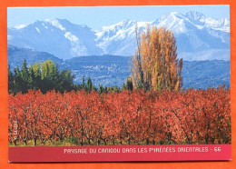 Mini Calendrier 2010 Paysage Du Canigou Pyrenees Orientales 66 - Petit Format : 2001-...
