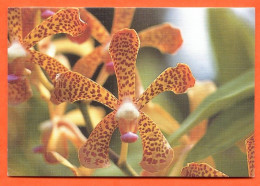 Mini Calendrier 2003 Fleurs Fleur Orchidée - Petit Format : 2001-...