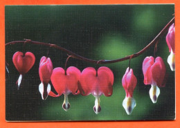 Mini Calendrier 2003 Fleurs Fleur 2 - Petit Format : 2001-...