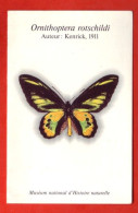 Mini Calendrier 1995  Papillon - Petit Format : 1981-90