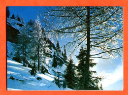 Mini Calendrier 1979 Paysage Montagne Hiver Neige - Petit Format : 1971-80