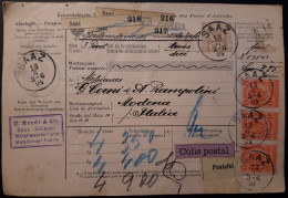 ÖSTERREICH AUSTRIA Paketkarte Mischfrankatur Minr. 81 (3), 87, 92, 94 Saaz 13.6.04 Gel. Nach Modena (Italien). - Cartas & Documentos
