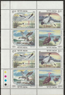 India 1994, Postfris MNH, Birds (white Paper) - Nuovi