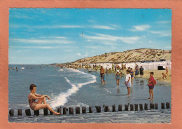 BREDENE - FLANDRE OCCIDENTALE - STRAND EN DUINEN - PLAGE ET DUNES - PIN-UP PIN UP - ECRITE - Bredene