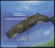 Chile 2002 Whales S/s, Mint NH, Nature - Sea Mammals - Chile