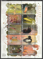 Nederland NVPH 2023 Vel Beleef De Natuur Oisterwijkse Bossen 2023 MNH Postfris Birds, Oiseaux - Unused Stamps