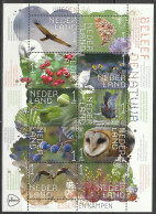 Nederland NVPH 2023 Vel Beleef De Natuur Essen En Kampen Wieden 2023 MNH Postfris Birds, Oiseaux - Unused Stamps