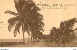 CONGO BELGE AVENUE DE COCOTIERS LE LONG DE L'OCEAN - Congo Belga