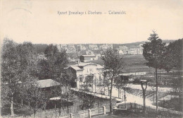 Kurort Braunlage - Teilansicht Gel.1910 - Braunlage