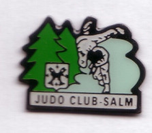 C68 Pin's JUDO CLUB SENONES VOSGES La Principauté De Salm Salm SAPIN Achat Immédiat - Judo